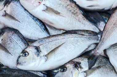 Taze Balık pazarı tepsi