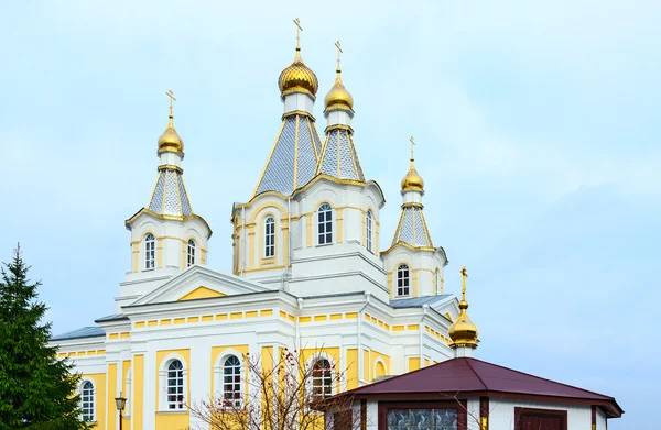 Kathedraal van St. Alexander Nevski, Kobrin, Wit-Rusland — Stockfoto