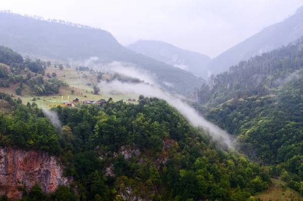 Tara folyó canyon, Montenegró — Stock Fotó