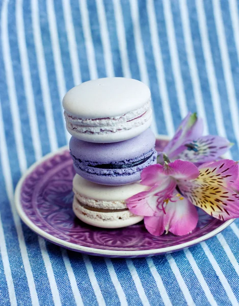 Mavi, sarı ve mor Fransızca macaroons