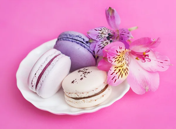 Mavi, sarı ve mor Fransızca macaroons