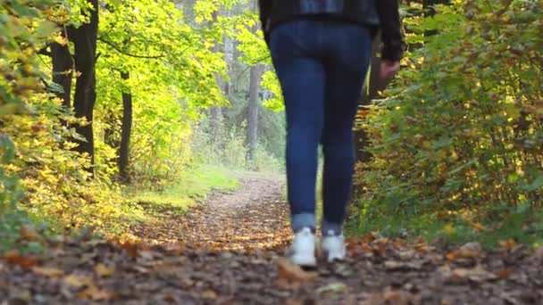 Una chica en zapatillas blancas camina a través de las hojas caídas. Vista trasera. otoño en el Parque — Vídeo de stock