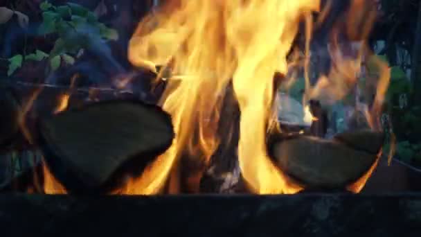 Полум'я вогню на грилі. палаюча деревина — стокове відео