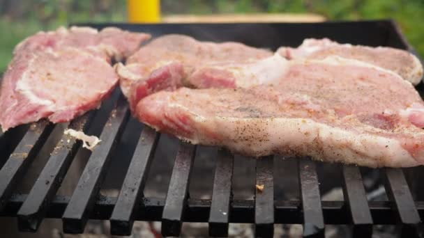 Filetes de cerdo asado en la parrilla. carne asada en llamas — Vídeos de Stock
