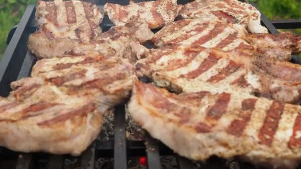 Pečené vepřové steaky na grilu. pečení masa v ohni — Stock video