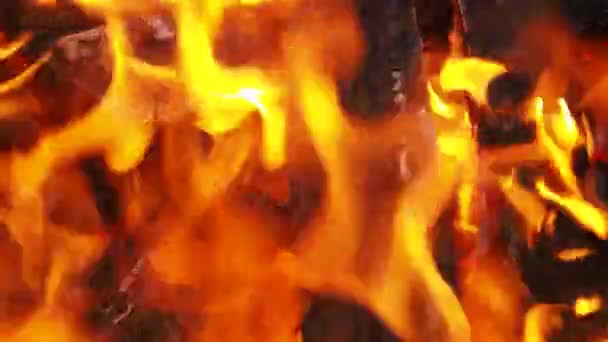A tűz lángja a grillben. égő fa — Stock videók