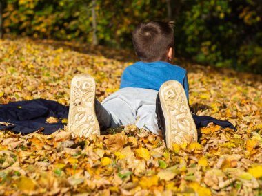 Oğlan bacak bacak üstüne atmış bir şekilde battaniyenin üzerinde yatıyor. Sonbahar Parkı 'nda sarı yapraklar. Ayakkabı tabanının arka görünüşü.