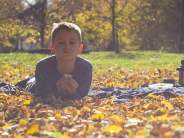 Sonbahar parkında battaniyeye uzanmış tatlı bir çocuk. Sarı yapraklar. yan görünüm.