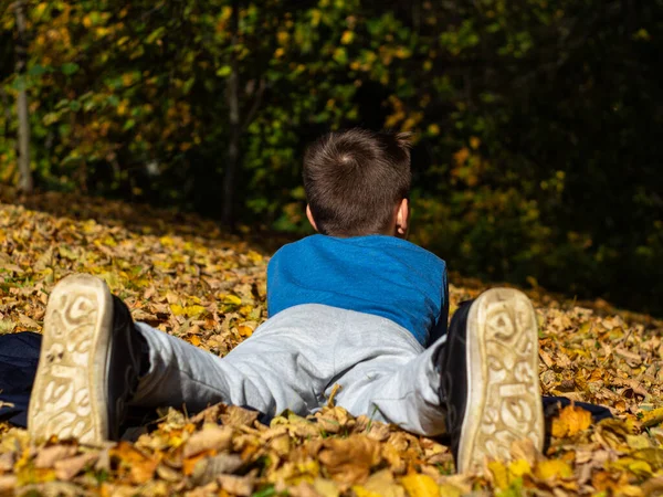 Sonbahar parkında battaniyeye uzanmış tatlı bir çocuk. Sarı yapraklar. Ayakkabı tabanının arka görünüşü.