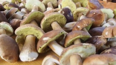 Masada bir sürü porcini mantarı var. çok sayıda mantar.
