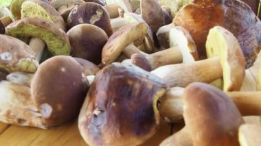 Masada bir sürü porcini mantarı var. çok sayıda mantar.