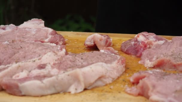 Polvilhe a carne com especiarias e sal. cozinhar carne de porco — Vídeo de Stock