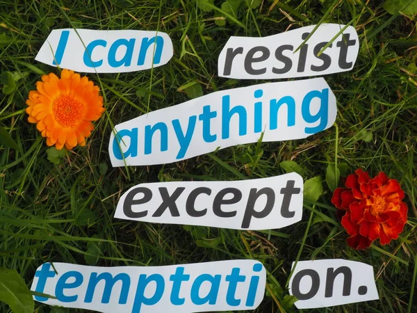 Can Resist Anything Temptation Lettering Grass Paper Cut Words — Stock Photo, Image