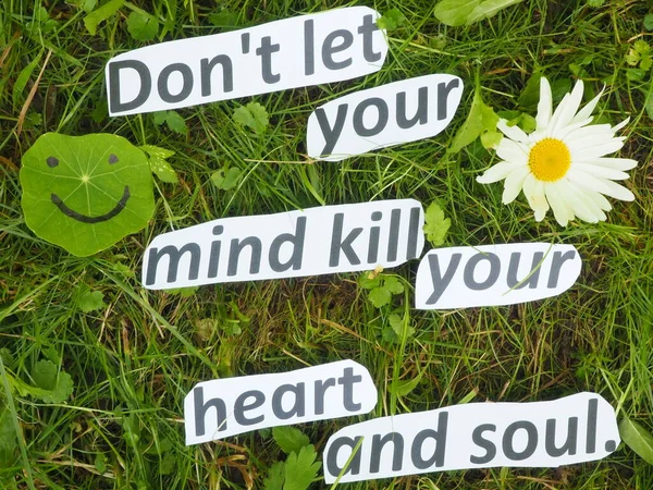 don\'t let your mind kill your heart and soul. lettering on the grass of paper-cut words.