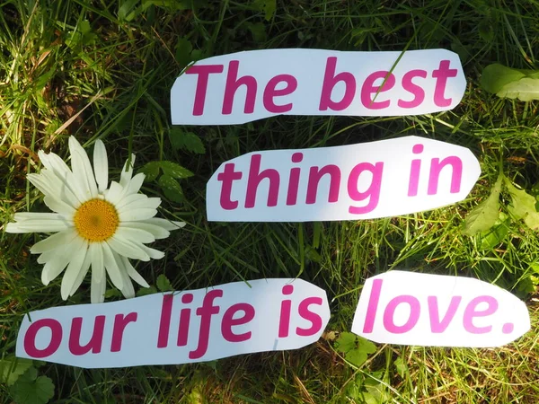 the best thing in our life is love. inscription on the grass made of cut paper letters.