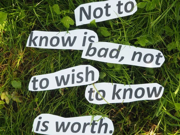 Note Know Bad Wish Know Worth Inscription Grass Made Cut — Stock Photo, Image