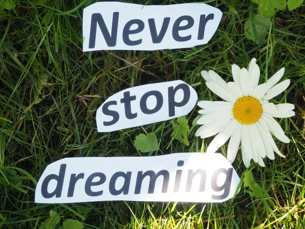 Never Stop Dreaming Inscription Grass Made Cut Paper Letters — Stock Photo, Image