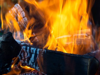 Ateşin içinde huş ağacı ve ızgarada parlak bir alev. Izgarada parlak bir ateş.