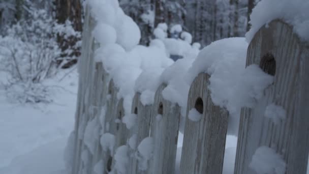 Bouchons de neige sur une clôture en bois. fabuleux paysage d'hiver — Video