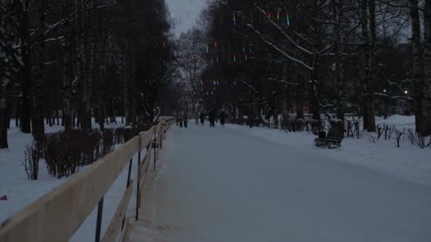 Schlittschuhlaufen auf dem Eis auf der dekorierten Allee mit Lichtergirlanden — Stockvideo