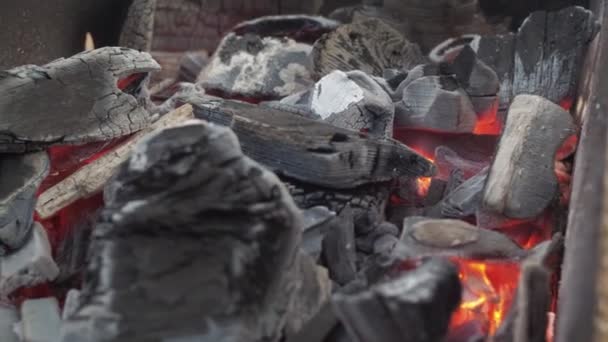 Κόκκινα κάρβουνα στη σχάρα. μαγείρεμα των τροφίμων στη φωτιά — Αρχείο Βίντεο