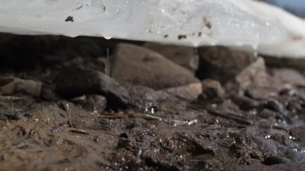 Eisschmelze am Flussufer. Tropfen fallen auf das matschige Ufer. Tote Granaten und Flaschenhals — Stockvideo