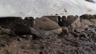 Nehir kıyısında eriyen buzlar. Damlalar çamurlu sahile düşüyor. Ölü mermiler ve şişe boynu. Çevreyle ilgili sorun