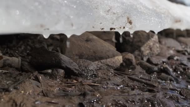 Tání ledu na břehu řeky. kapky padající na bahnitý břeh. mrtvé náboje a hrdlo láhve. problém s životním prostředím — Stock video