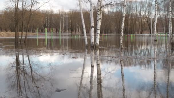 Ανοιξιάτικη πλημμύρα πλημμυρισμένη παιδική χαρά στο νερό της πόλης — Αρχείο Βίντεο