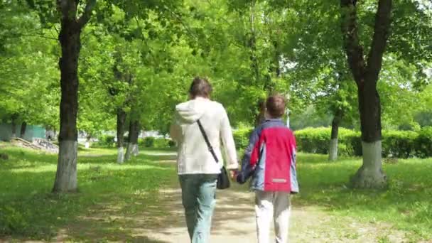Un paseo por el parque. una mujer camina con su nieto por la mano a lo largo del callejón del parque. vista desde atrás — Vídeo de stock