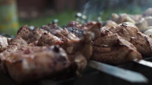 De gros morceaux de viande sur une brochette dans la fumée du gril. une main d'homme tourne la viande et les champignons sur des brochettes — Video