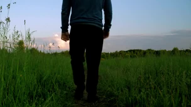 Een man in een jasje loopt langs een pad in een groen veld. tegen de achtergrond van een prachtige zonsondergang hemel. zomervakanties op het terrein — Stockvideo