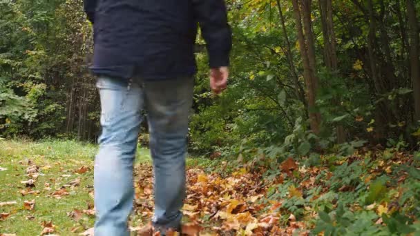 Un hombre en jeans y botas caminando sobre hojas caídas.Otoño dorado. parque — Vídeo de stock