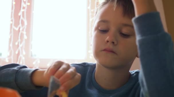 Ein Junge isst in einem Café Pommes. Jeweils in die Sauce tauchen. er lächelt — Stockvideo