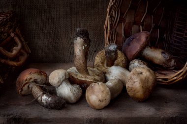 Taze toplanmış mantarlar, hasat, tahta tahtalar, hasır sepet, yığın, sağlıklı yiyecekler.