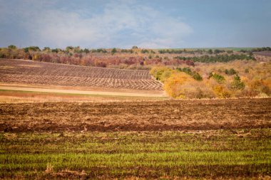 Kırsal sonbahar manzarası, tarlalar