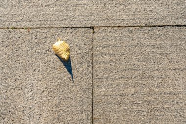 Gri zemine düşmüş sarı yaprak. Düşen bir yaprak, sonbaharın eşiğinde.