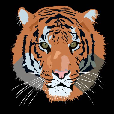 Siyah arka planda kaplan yüzü, ihtiyaçlarınız için vektör. Hayvanlar âlemi kavramı..