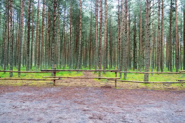 Vackert Lantligt Landskap Med Ett Gammalt Trästaket Och Skog Begreppet — Stockfoto