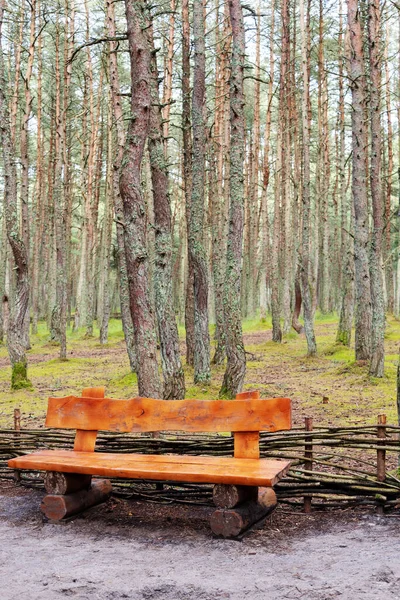 Träbänk Gjord Stockar Och Placerad Skogen Omgiven Färska Gröna Ogräs — Stockfoto