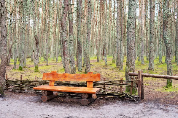 Träbänk Gjord Stockar Och Placerad Skogen Omgiven Färska Gröna Ogräs — Stockfoto
