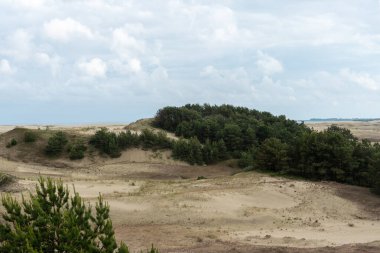 Curonian Spit 'teki kumlu gri kumulların muhteşem manzarası. Turizm ve eğlence kavramı..