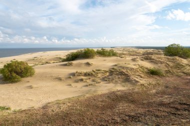 Curonian Spit 'teki kumlu gri kumulların muhteşem manzarası. Turizm ve eğlence kavramı..