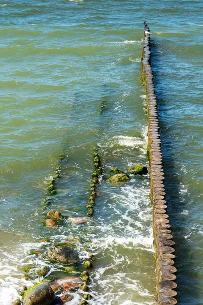 Breakwater Made Logs Cuts Sea Wave Baltic Sea — Stock Photo, Image