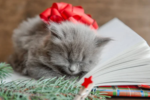 Niedlichen Grauen Kätzchen Katze Mit Einer Roten Schleife Liegt Schlafend — Stockfoto