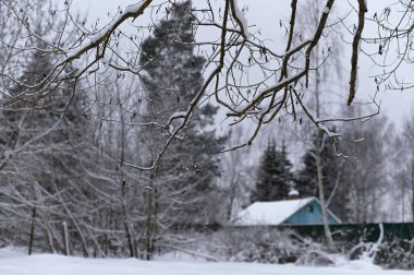Rusya 'da kış aylarında beyaz karlı bir arka planda, karla kaplı eski mavi ahşap bir evin manzarası.
