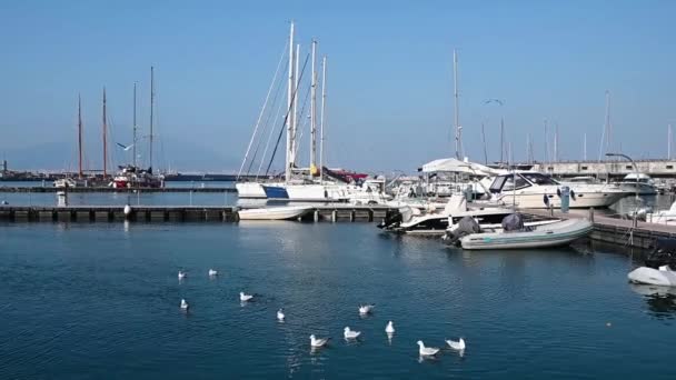 27.03,2021 Italien Castellammare di Stabia im Hafen am Mittelmeer gibt es Yachten, die Möwen fliegen — Stockvideo