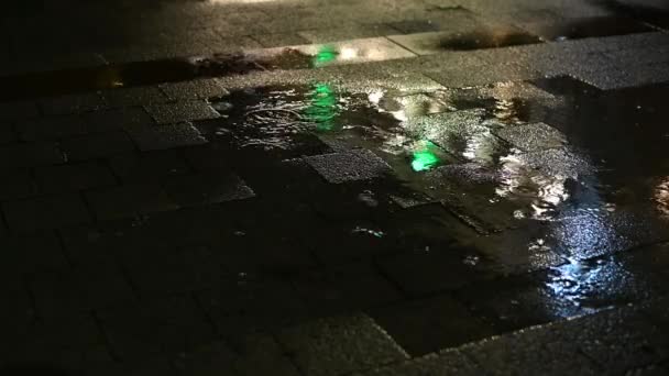 Pluie nocturne dans la ville sur la route dans les flaques d'eau lumières multicolores sont réfléchies — Video