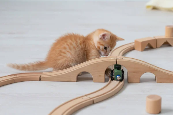 Милый маленький рыжий смешной котенок, играющий дома в детской с детскими игрушками паравоз на деревянной железной дороге — стоковое фото