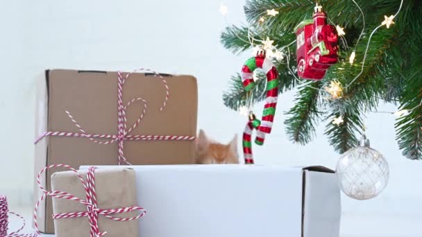 Pequeño gatito jengibre divertido jugando con decoraciones de Año Nuevo cerca del árbol de Navidad con el concepto de regalos de año nuevo y Navidad — Vídeos de Stock